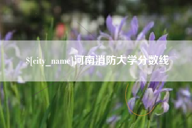 金昌河南消防大学分数线