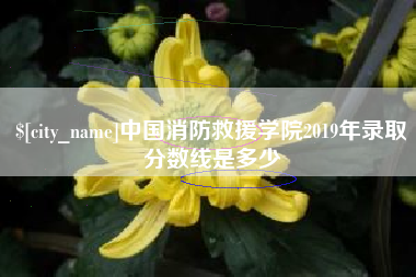 金昌中国消防救援学院2019年录取分数线是多少