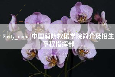 金昌中国消防救援学院简介及招生章程指挥部