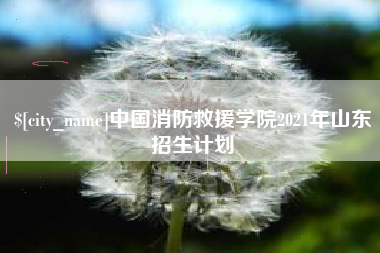 金昌中国消防救援学院2021年山东招生计划