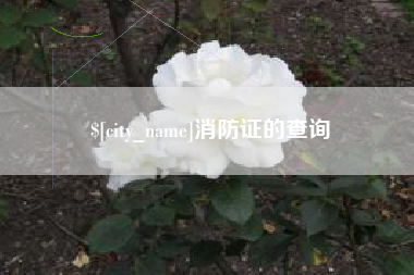 金昌消防证的查询