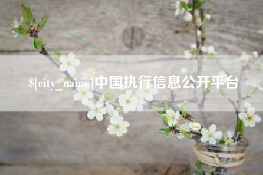 金昌中国执行信息公开平台