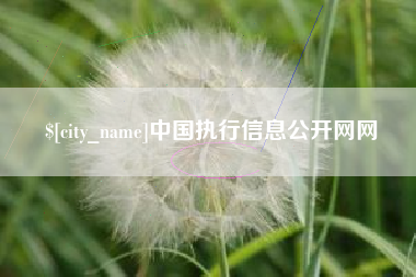 金昌中国执行信息公开网网