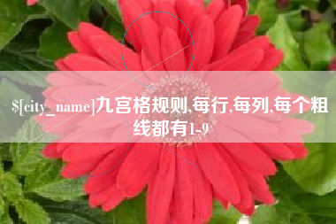 金昌九宫格规则,每行,每列,每个粗线都有1-9