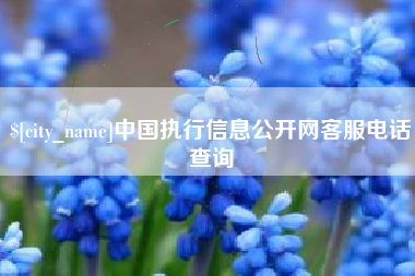金昌中国执行信息公开网客服电话查询