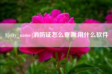 金昌消防证怎么查询,用什么软件