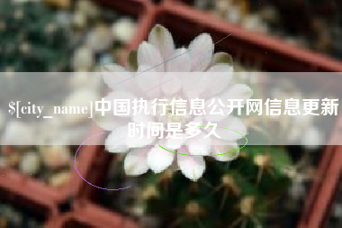 金昌中国执行信息公开网信息更新时间是多久