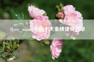 金昌中国十大金牌律师名单