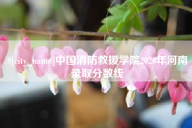 金昌中国消防救援学院2020年河南录取分数线