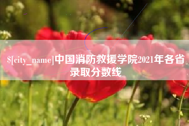 金昌中国消防救援学院2021年各省录取分数线