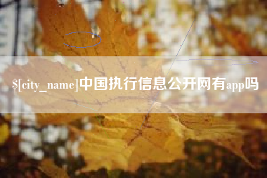 金昌中国执行信息公开网有app吗