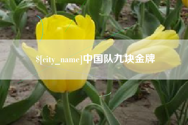 金昌中国队九块金牌