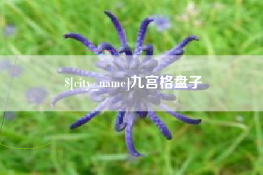 金昌九宫格盘子
