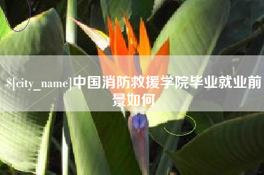 金昌中国消防救援学院毕业就业前景如何
