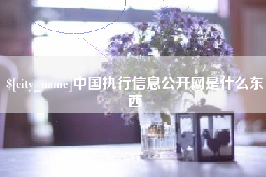 金昌中国执行信息公开网是什么东西