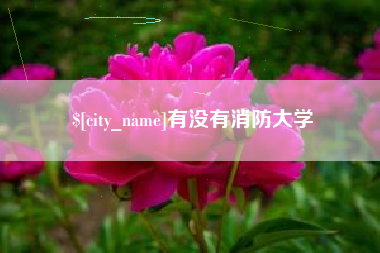 金昌有没有消防大学