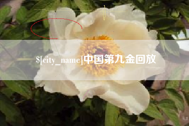 金昌中国第九金回放