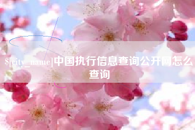 金昌中国执行信息查询公开网怎么查询