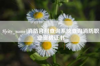 金昌消防官网查询系统查询消防职业资格证书