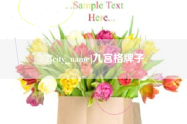 金昌九宫格牌子