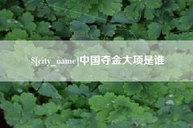金昌中国夺金大项是谁