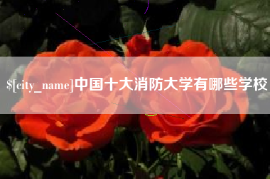 金昌中国十大消防大学有哪些学校
