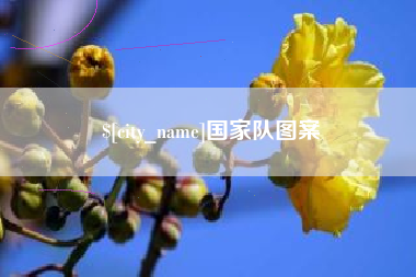 金昌国家队图案