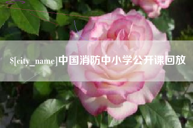 金昌中国消防中小学公开课回放