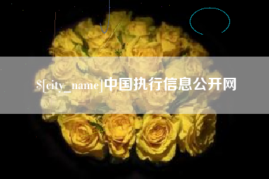 金昌中国执行信息公开网