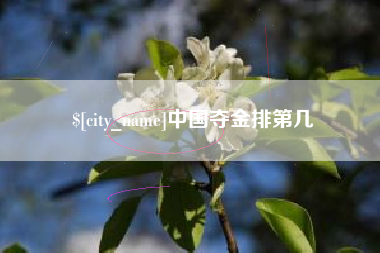金昌中国夺金排第几