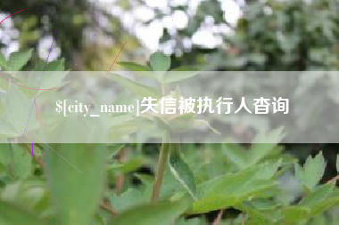 金昌失信被执行人杳询