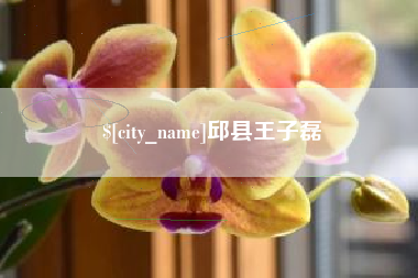 金昌邱县王子磊