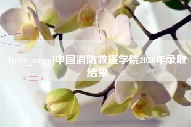金昌中国消防救援学院2020年录取结果