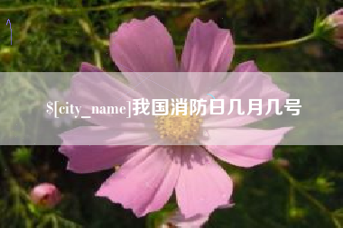 金昌我国消防日几月几号