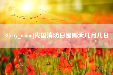金昌我国消防日是哪天几月几日