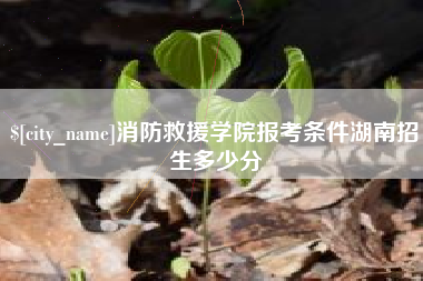 金昌消防救援学院报考条件湖南招生多少分
