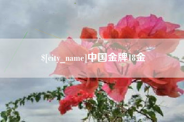 金昌中国金牌18金