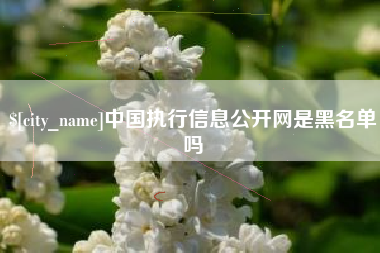 金昌中国执行信息公开网是黑名单吗