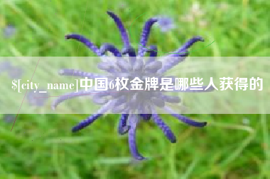 金昌中国6枚金牌是哪些人获得的