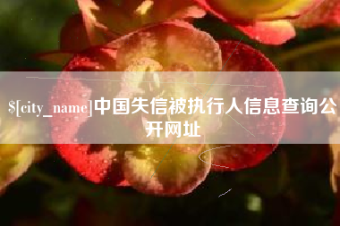 金昌中国失信被执行人信息查询公开网址