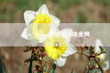 金昌奥运会39块金牌