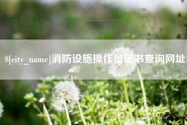 金昌消防设施操作员证书查询网址