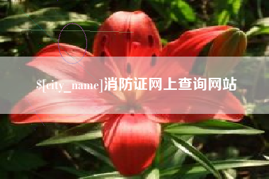 金昌消防证网上查询网站