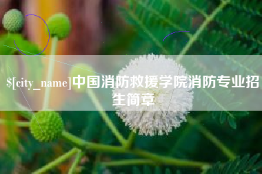 金昌中国消防救援学院消防专业招生简章