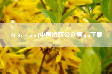 金昌中国消防公众号app下载