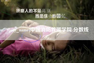 金昌中国消防救援学院 分数线