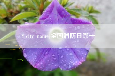 金昌全国消防日哪一