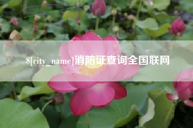 金昌消防证查询全国联网