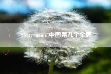金昌中国第九个金牌