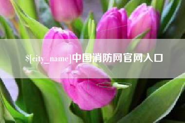 金昌中国消防网官网入口